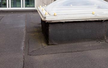 disadvantages of Tythecott flat roofs